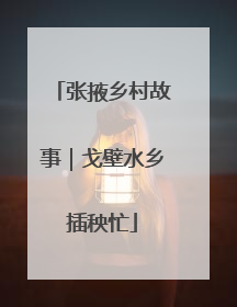 张掖乡村故事｜戈壁水乡插秧忙
