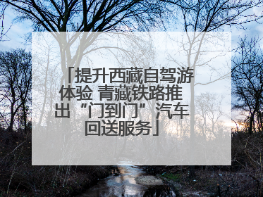 提升西藏自驾游体验 青藏铁路推出“门到门”汽车回送服务
