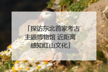 探访东北首家考古主题博物馆 近距离感知红山文化
