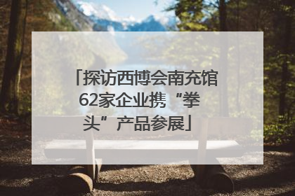 探访西博会南充馆 62家企业携“拳头”产品参展