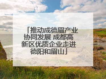 推动成德眉产业协同发展 成都高新区优质企业走进德阳和眉山