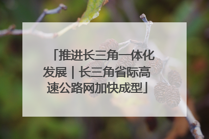 推进长三角一体化发展｜长三角省际高速公路网加快成型