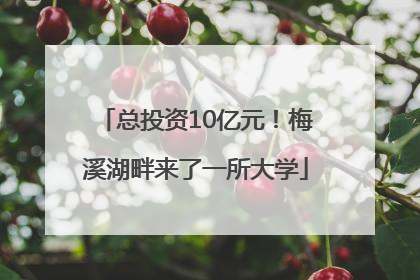 总投资10亿元！梅溪湖畔来了一所大学