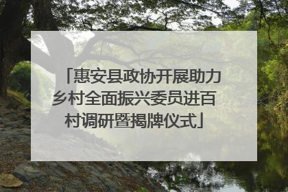 惠安县政协开展助力乡村全面振兴委员进百村调研暨揭牌仪式