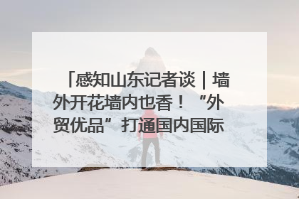 感知山东记者谈｜墙外开花墙内也香！“外贸优品”打通国内国际市场“旋转门”