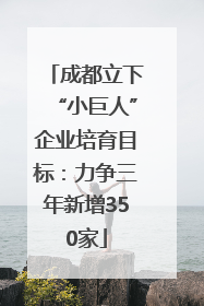 成都立下“小巨人”企业培育目标：力争三年新增350家