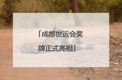 成都世运会奖牌正式亮相