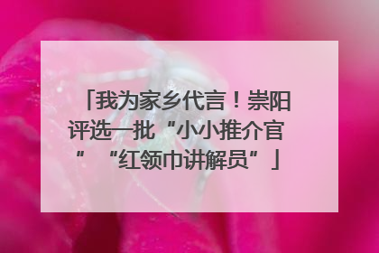 我为家乡代言！崇阳评选一批“小小推介官”“红领巾讲解员”