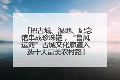 把古城、湿地、纪念馆串成珍珠链，“鲁风运河”古城文化廊道入选十大最美农村路