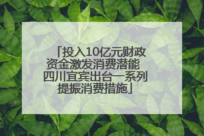 投入10亿元财政资金激发消费潜能 四川宜宾出台一系列提振消费措施