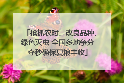抢抓农时、改良品种、绿色灭虫 全国多地争分夺秒确保夏粮丰收