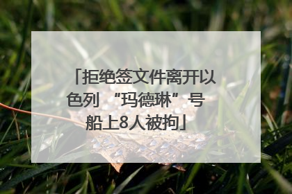 拒绝签文件离开以色列 “玛德琳”号船上8人被拘