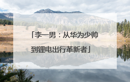 李一男：从华为少帅到锂电出行革新者