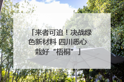 来者可追！决战绿色新材料 四川悉心栽好“梧桐”