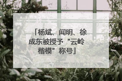 杨斌、闻明、徐成东被授予“云岭楷模”称号