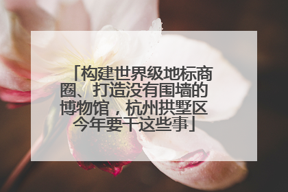 构建世界级地标商圈、打造没有围墙的博物馆，杭州拱墅区今年要干这些事