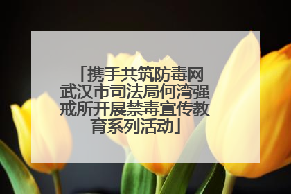 携手共筑防毒网 武汉市司法局何湾强戒所开展禁毒宣传教育系列活动