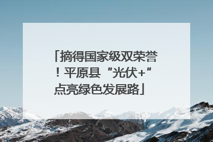 摘得国家级双荣誉！平原县“光伏+”点亮绿色发展路