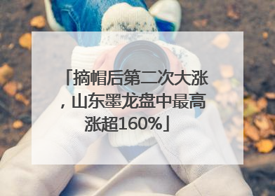 摘帽后第二次大涨，山东墨龙盘中最高涨超160%