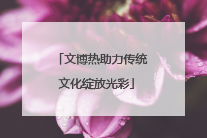 文博热助力传统文化绽放光彩