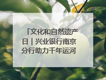 文化和自然遗产日｜兴业银行南京分行助力千年运河焕新出彩