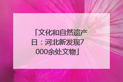 文化和自然遗产日：河北新发现7000余处文物