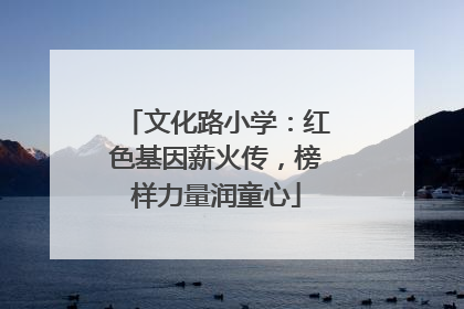 文化路小学：红色基因薪火传，榜样力量润童心