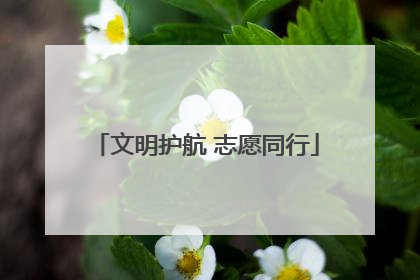 文明护航 志愿同行