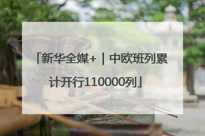 新华全媒+｜中欧班列累计开行110000列