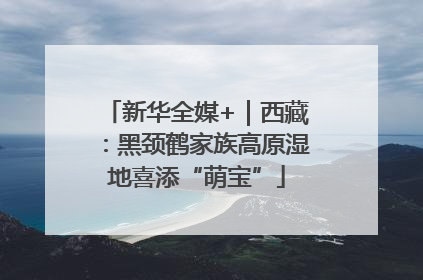 新华全媒+｜西藏：黑颈鹤家族高原湿地喜添“萌宝”