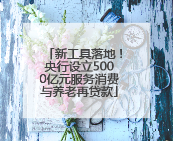 新工具落地！央行设立5000亿元服务消费与养老再贷款