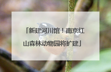 新建河川馆！南京红山森林动物园将扩建