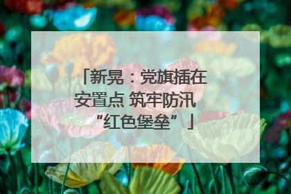 新晃：党旗插在安置点 筑牢防汛“红色堡垒”