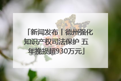 新闻发布丨德州强化知识产权司法保护 五年挽损超930万元