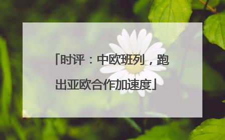 时评：中欧班列，跑出亚欧合作加速度