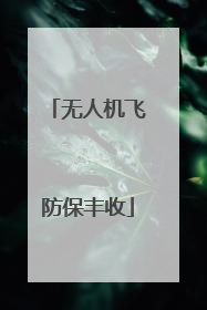 无人机飞防保丰收