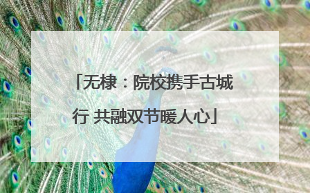 无棣：院校携手古城行 共融双节暖人心