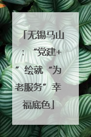 无锡马山：“党建+”绘就“为老服务”幸福底色