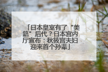 日本皇室有了“美籍”后代？日本宫内厅宣布：秋筱宫夫妇迎来首个孙辈