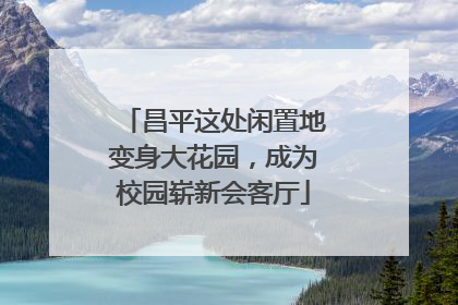 昌平这处闲置地变身大花园，成为校园崭新会客厅