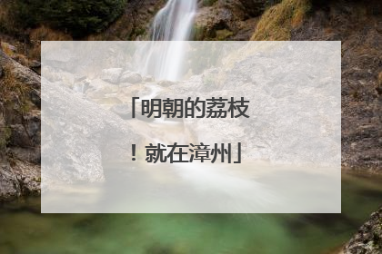 明朝的荔枝！就在漳州