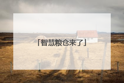 智慧粮仓来了