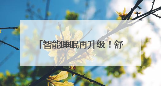 智能睡眠再升级！舒达ICF AI智能家族4款新品重磅上市