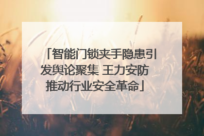 智能门锁夹手隐患引发舆论聚集 王力安防推动行业安全革命