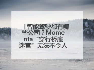 智能驾驶都有哪些公司？Momenta“穿行桥底迷宫”无法不令人印象深刻！