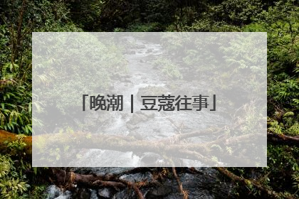 晚潮｜豆蔻往事
