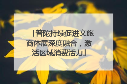 普陀持续促进文旅商体展深度融合，激活区域消费活力