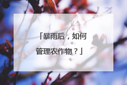暴雨后，如何管理农作物？