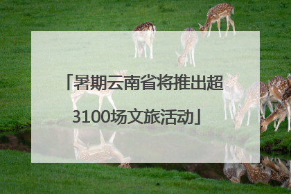 暑期云南省将推出超3100场文旅活动