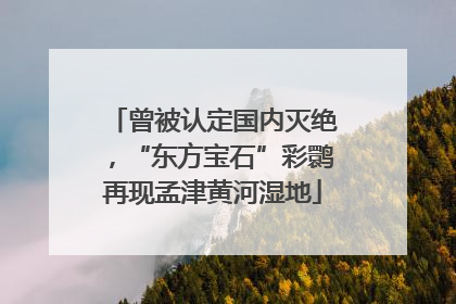 曾被认定国内灭绝，“东方宝石”彩鹮再现孟津黄河湿地